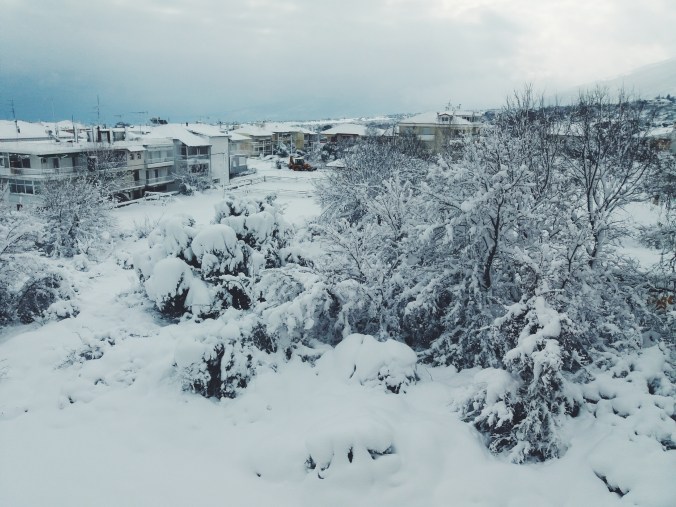 Processed with VSCO with f2 preset